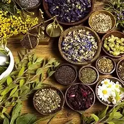 تفاوت ادویه‌های تازه و مانده چیست؟